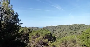 Terrain dans Lloret de Mar, Espagne