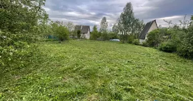 Plot of land in Bialarucki sielski Saviet, Belarus