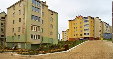Mieszkanie 2 pokoi w Nova Dolyna, Ukraina
