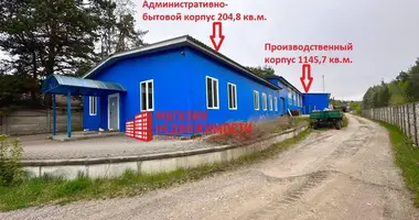 Zakład produkcyjny 1 351 m² w Kapciouski sielski Saviet, Białoruś