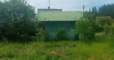 Dom w Kapciouski sielski Saviet, Białoruś