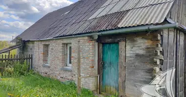 House in Vielikarycki sielski Saviet, Belarus