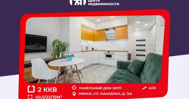 2 room apartment in Minsk, Belarus