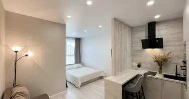 1 room apartment in Minsk, Belarus