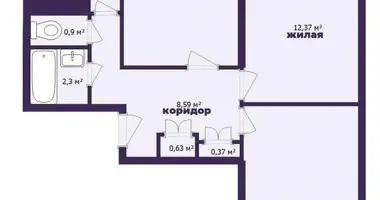 Apartamento 3 habitaciones en Minsk, Bielorrusia