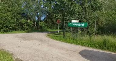 Terrain dans Piatryskauski sielski Saviet, Bélarus