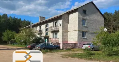 Wohnung 2 Zimmer in Valozynski sielski Saviet, Weißrussland