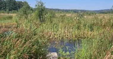 Grundstück in Purvynai, Litauen