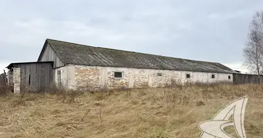 Производство 348 м² в Тевельский сельский Совет, Беларусь