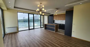 3 bedroom apartment in Tbilisi, Georgia
