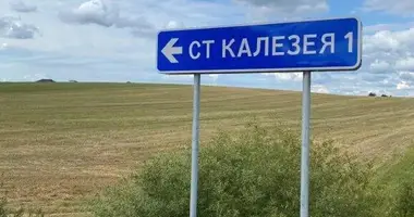 Plot of land in Bialarucki sielski Saviet, Belarus