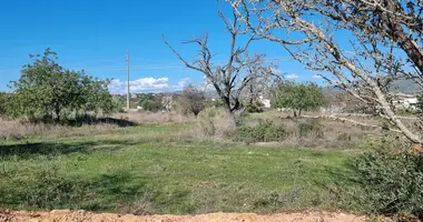 Plot of land in Quelfes, Portugal
