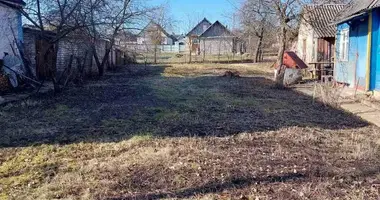 House in Smalyavichy, Belarus