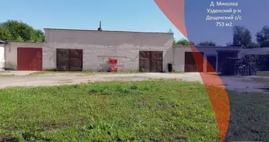 Fabrication 753 m² dans Dziescanski sielski Saviet, Bélarus