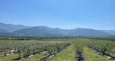 Plot of land in Batumi, Georgia