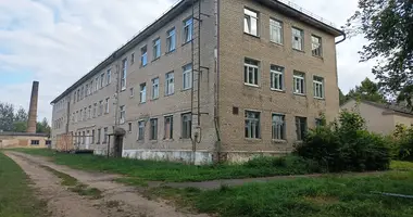 Investissement 3 600 m² dans Opsa, Bélarus