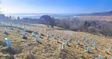 Plot of land in Badacsonytoerdemic, Hungary