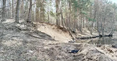 Haus 2 zimmer in Klinocki siel ski Saviet, Weißrussland