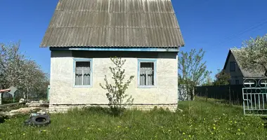 House in Starasklouski sielski Saviet, Belarus