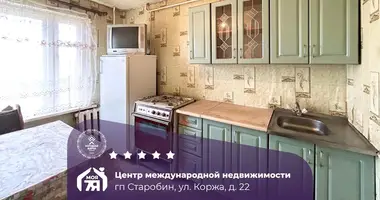 Appartement 1 chambre dans Starobin, Bélarus
