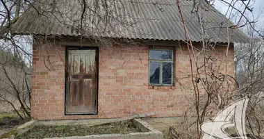 Haus in Znamienski sielski Saviet, Weißrussland