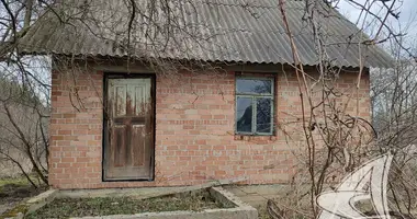 House in Znamienski sielski Saviet, Belarus