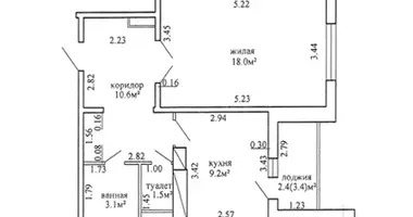 1 room apartment in Minsk, Belarus