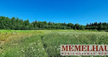 Grundstück in Kintrimai, Litauen