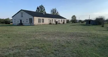 Commercial property 379 m² in Scarcouski sielski Saviet, Belarus