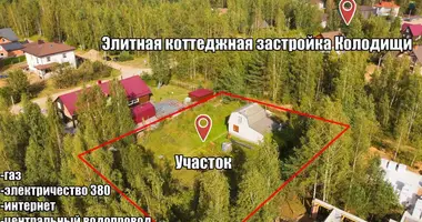 Plot of land in Kalodziscanski sielski Saviet, Belarus