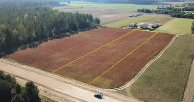 Plot of land in Roda, Lithuania