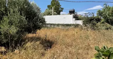 Участок земли в Tsoutsouros, Греция