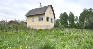 House in Dziescanski sielski Saviet, Belarus