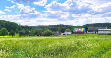 Haus in Astrasyckaharadocki siel ski Saviet, Weißrussland