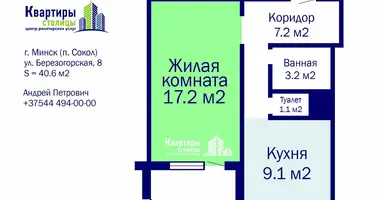 Wohnung 1 zimmer in Minsk, Belarus