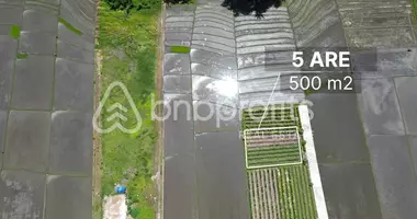 Plot of land in Pandak Bandung, Indonesia