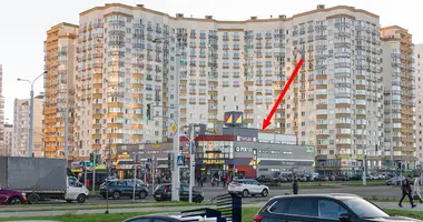 Commercial property 344 m² in Minsk, Belarus