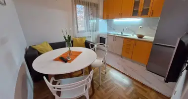 1 bedroom apartment in Montenegro