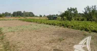 Plot of land in Kryulianski sielski Saviet, Belarus