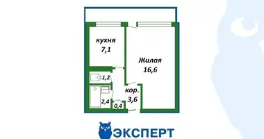 Wohnung 1 zimmer in Minsk, Weißrussland