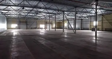 Склад 2 438 м² в Большое Стиклево, Беларусь