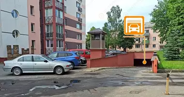 Gewerbefläche 20 m² in Minsk, Weißrussland