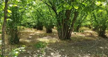 Grundstück in Anaklia, Georgien