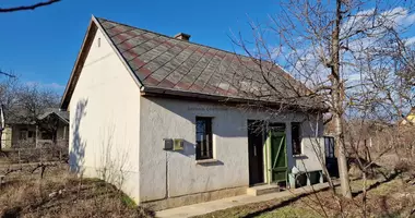 House in Polgardi, Hungary
