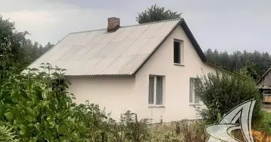 Haus in Dzmitrovicki sielski Saviet, Weißrussland