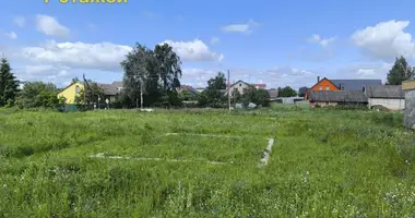 Grundstück in Smilawitschy, Belarus