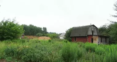 Dom w Pryliepy, Białoruś