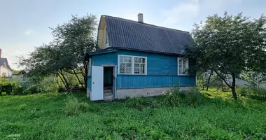 House in Luhavaslabadski sielski Saviet, Belarus