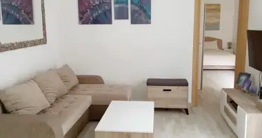 1 bedroom apartment in Kotor, Montenegro