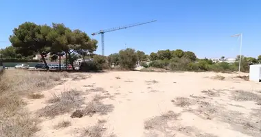 Propriété commerciale dans Orihuela, Espagne